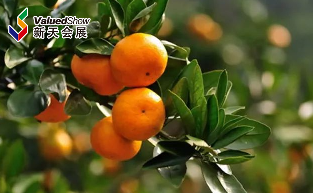 a9d3ce513358ef833fb1d16626f43e6a.png