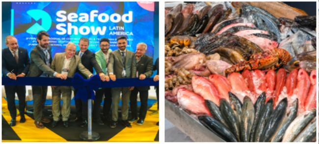 2025年巴西水产展  SEAFOOD SHOW LATIN AMERICA