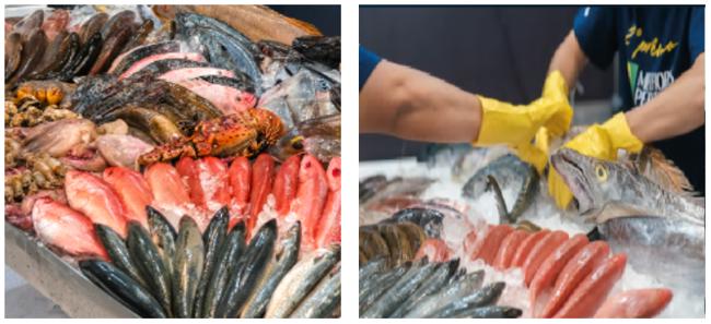 2025年巴西水產(chǎn)展覽會(huì) SEAFOOD SHOW LATIN AMERICA 適合什么產(chǎn)品企業(yè)？