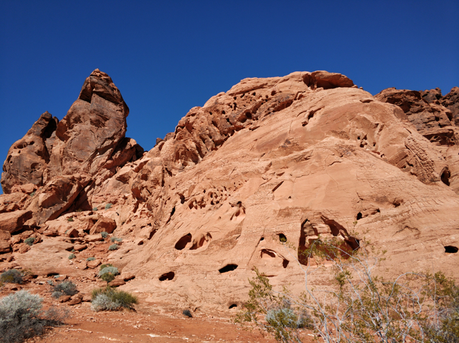 火焰谷-2019美國建材展 (15).jpg