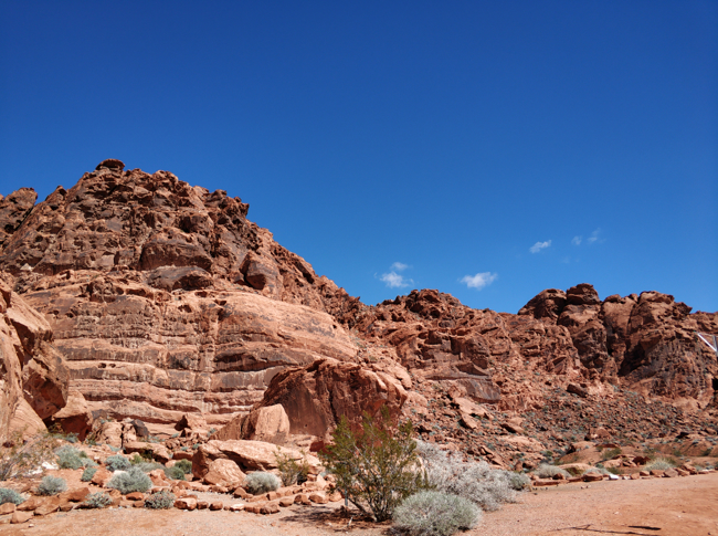 火焰谷-2019美國建材展 (13).jpg