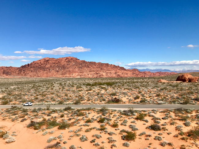 火焰谷-2019美國建材展 (1).jpeg