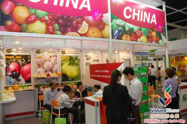 2010 中国展团2.png